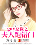 gay总裁之夫人跑错门